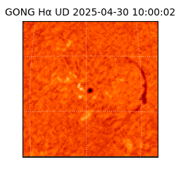 gong - 2025-04-30T10:00:02