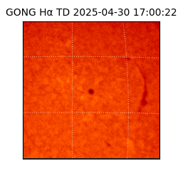 gong - 2025-04-30T17:00:22