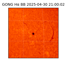 gong - 2025-04-30T21:00:02