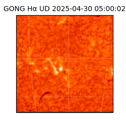 gong - 2025-04-30T05:00:02