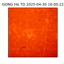 gong - 2025-04-30T16:00:22