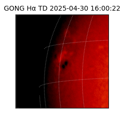 gong - 2025-04-30T16:00:22