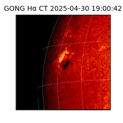 gong - 2025-04-30T19:00:42