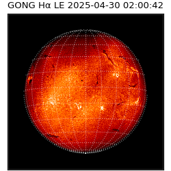 gong - 2025-04-30T02:00:42
