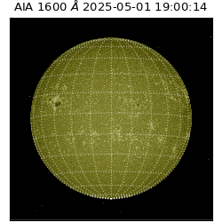 saia - 2025-05-01T19:00:14.126000