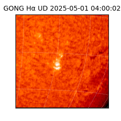 gong - 2025-05-01T04:00:02