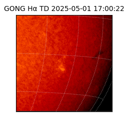 gong - 2025-05-01T17:00:22