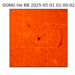 gong - 2025-05-01T01:00:02