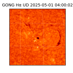 gong - 2025-05-01T04:00:02