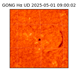 gong - 2025-05-01T09:00:02