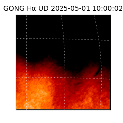 gong - 2025-05-01T10:00:02