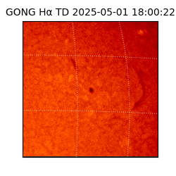 gong - 2025-05-01T18:00:22