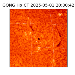 gong - 2025-05-01T20:00:42