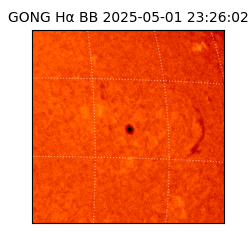 gong - 2025-05-01T23:26:02
