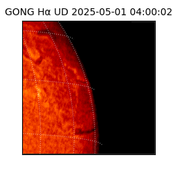 gong - 2025-05-01T04:00:02