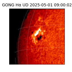 gong - 2025-05-01T09:00:02
