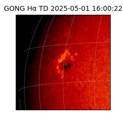 gong - 2025-05-01T16:00:22