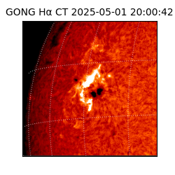 gong - 2025-05-01T20:00:42