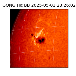 gong - 2025-05-01T23:26:02