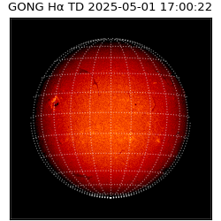 gong - 2025-05-01T17:00:22