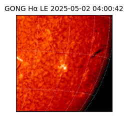 gong - 2025-05-02T04:00:42