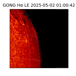 gong - 2025-05-02T01:00:42
