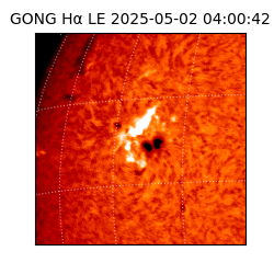gong - 2025-05-02T04:00:42