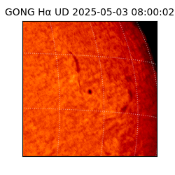 gong - 2025-05-03T08:00:02