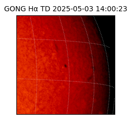 gong - 2025-05-03T14:00:23