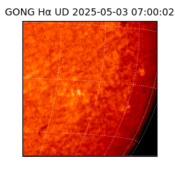 gong - 2025-05-03T07:00:02
