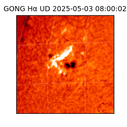 gong - 2025-05-03T08:00:02