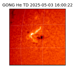 gong - 2025-05-03T16:00:22