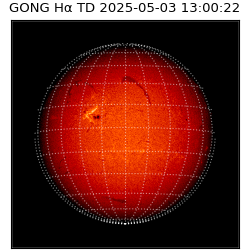 gong - 2025-05-03T13:00:22