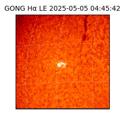 gong - 2025-05-05T04:45:42