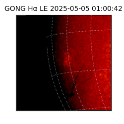 gong - 2025-05-05T01:00:42