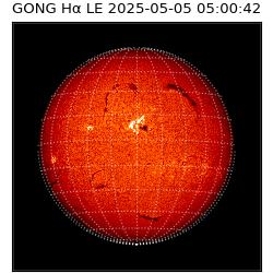 gong - 2025-05-05T05:00:42