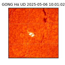 gong - 2025-05-06T10:01:02