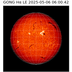 gong - 2025-05-06T06:00:42