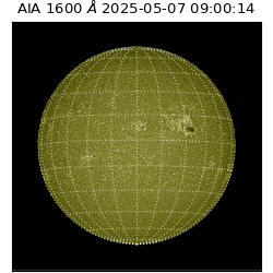 saia - 2025-05-07T09:00:14.126000