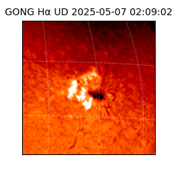 gong - 2025-05-07T02:09:02