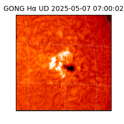 gong - 2025-05-07T07:00:02