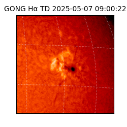 gong - 2025-05-07T09:00:22