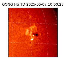 gong - 2025-05-07T10:00:23