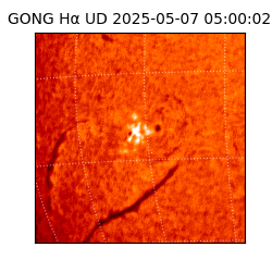 gong - 2025-05-07T05:00:02