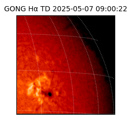 gong - 2025-05-07T09:00:22