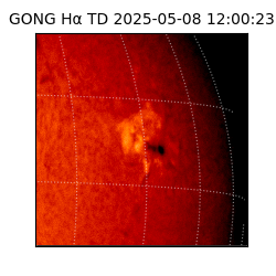 gong - 2025-05-08T12:00:23
