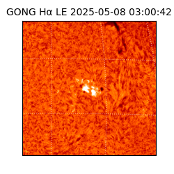 gong - 2025-05-08T03:00:42
