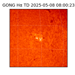 gong - 2025-05-08T08:00:23