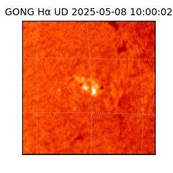 gong - 2025-05-08T10:00:02
