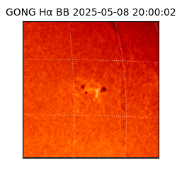 gong - 2025-05-08T20:00:02